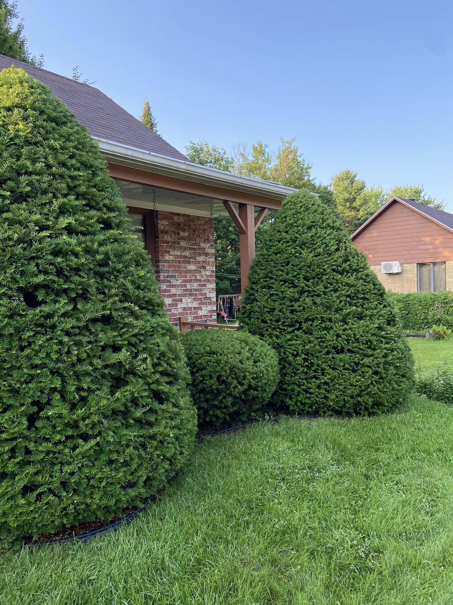 Haies Cetera - Specialists in cedar hedge trimming in Saint-Sauveur, Laurentides