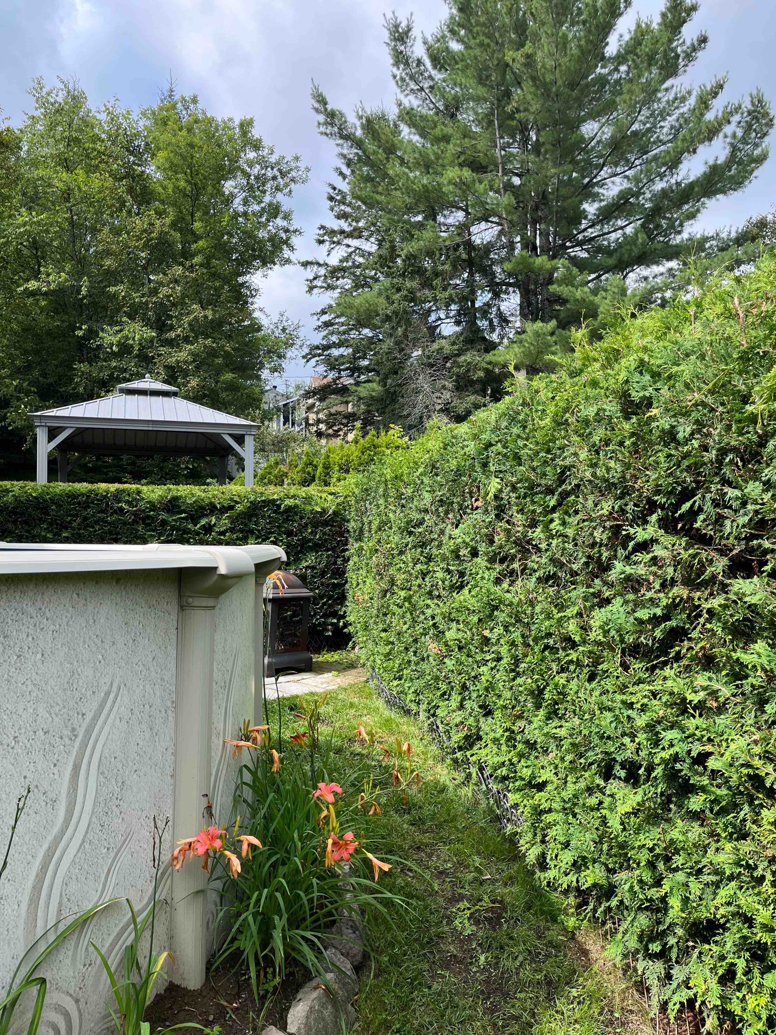 Haies Cetera - Specialists in cedar hedge trimming in Saint-Sauveur, Laurentides